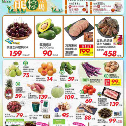 端午龍粽登場_量販生鮮快報