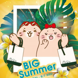 BIG Summer