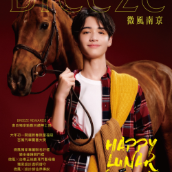 微風 EDM - 微風南京【駿躍微風賀新春】EDM