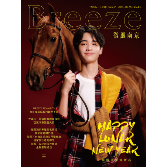 微風 EDM - 微風南京【駿躍微風賀新春】EDM