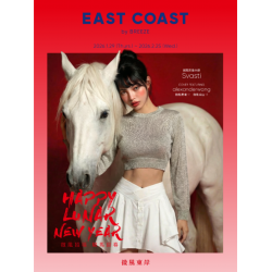 微風 EDM - 微風東岸【駿躍微風賀新春】EDM