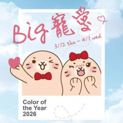 Big City 遠東巨城 - BIG寵愛