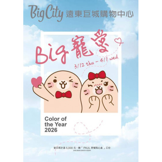 Big City 遠東巨城 - BIG寵愛