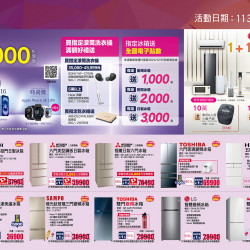 全國電子 - 2024/11月第5波 DM